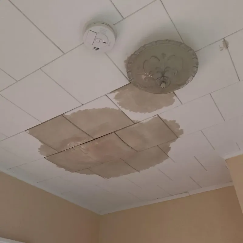Ceiling Water Damage Repair in Deshler, OH