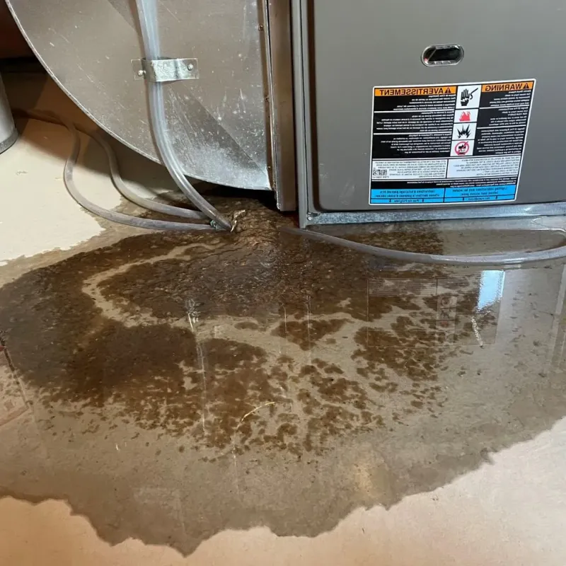 Pipe Burst and Leak Restoration in Deshler, OH