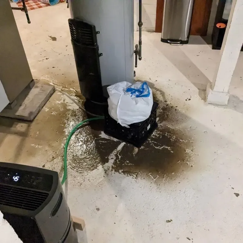 Sewage Backup Cleanup Service in Deshler, OH